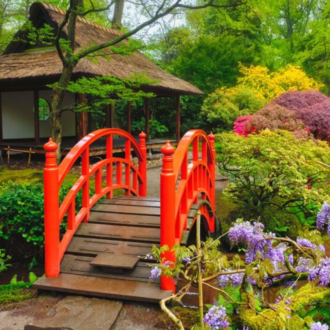 L'eau Hydrogénée au Japon Image