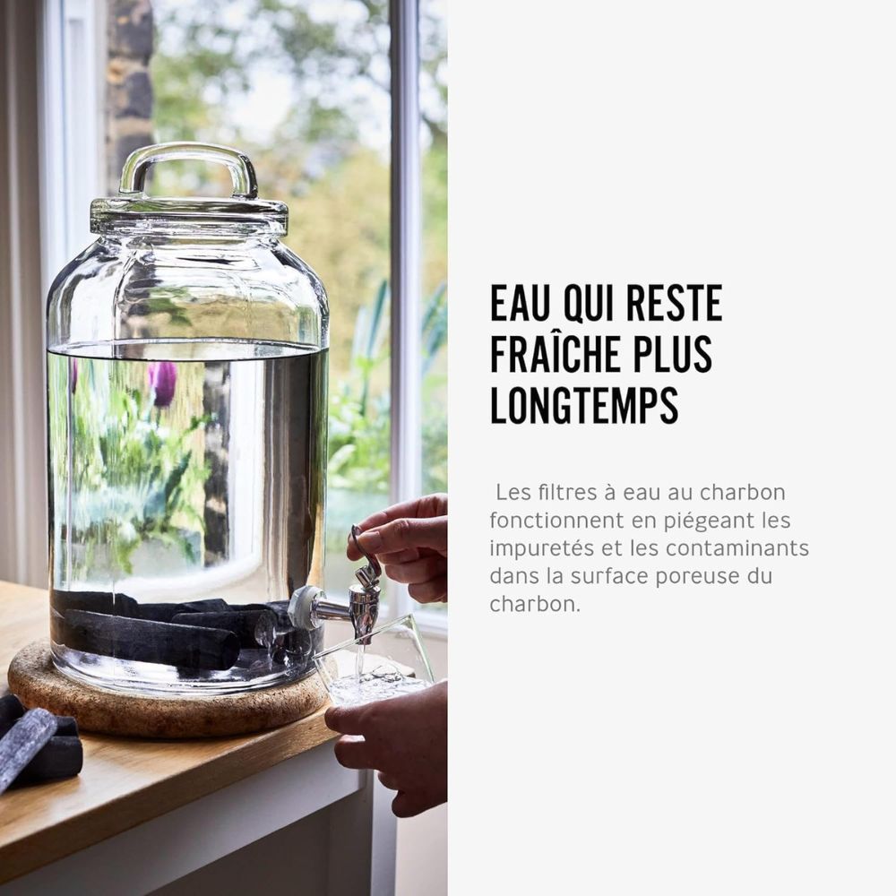 Charbon Binchotan Mizora - Lot de 2 Bâtons pour 3L d'Eau Filtrée